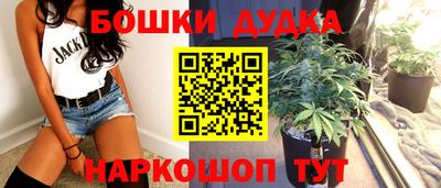 МДПВ Краснознаменск