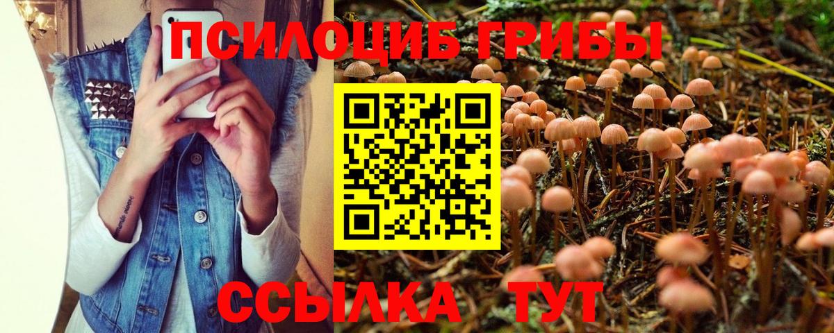 Галлюциногенные грибы ЛСД Качканар