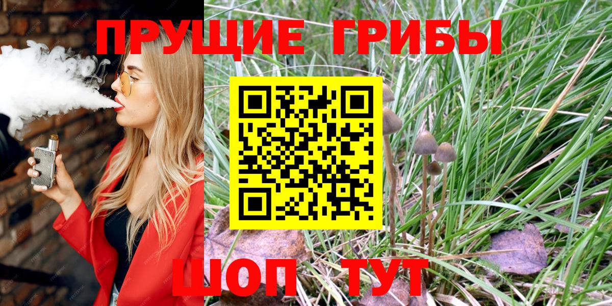 Галлюциногенные грибы Cubensis  Качканар  купить наркотик  Псилоцибиновые грибы Psilocybine cubensis 