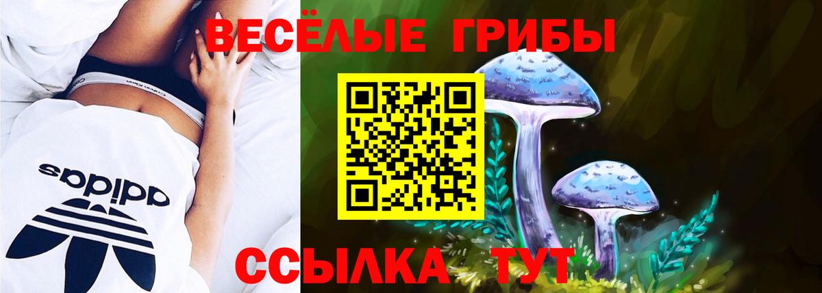 APVP СК   Метадон  Марихуана  Меф кристаллы  Качканар  Гашиш  Гашиш 